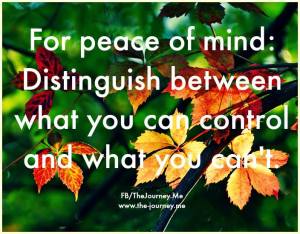 10423784_1516251195306787_640198892782242208_n