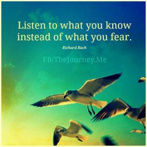 10547709_1449399971991910_1565339797578213449_n